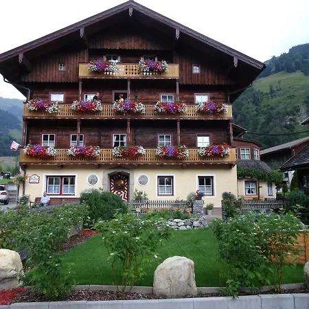 Wengerbauer Farm stay